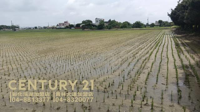 彰化埔鹽農地-2