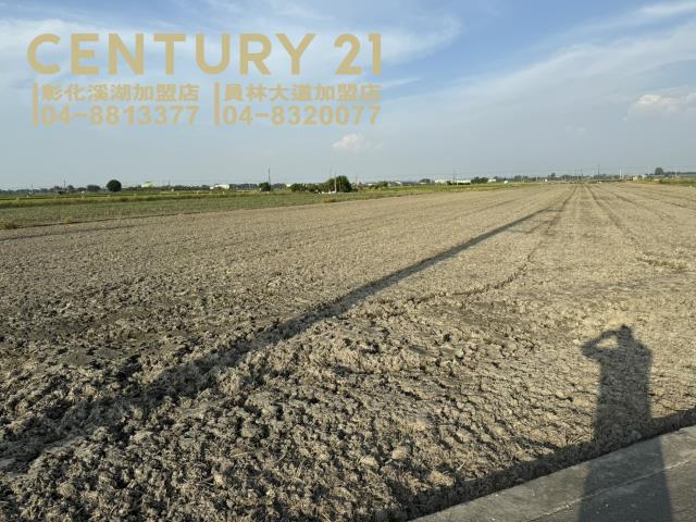 彰化二林農地-4
