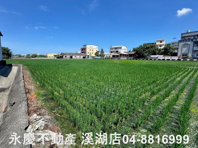 溪湖農地-11