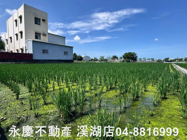 溪湖農地-12