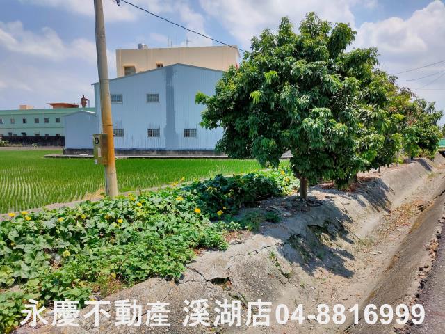 溪湖農地-2