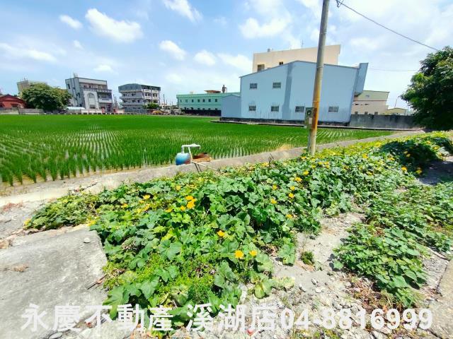 溪湖農地-3