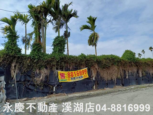 永靖農地-1