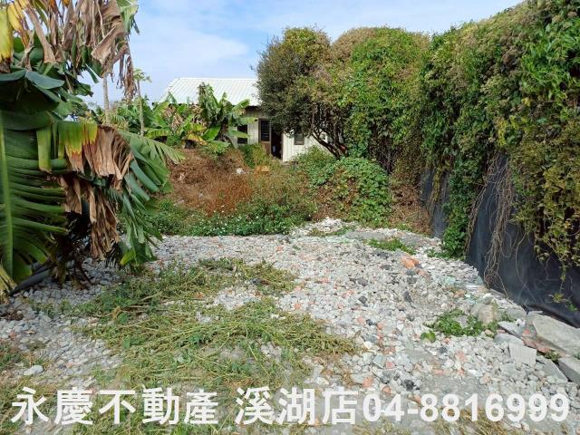 永靖農地-6