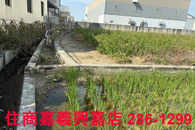 鹿港農地-9