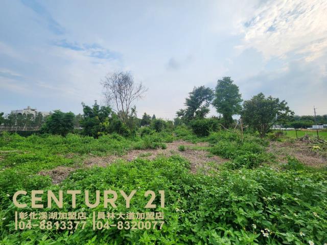 彰化田尾農地-0