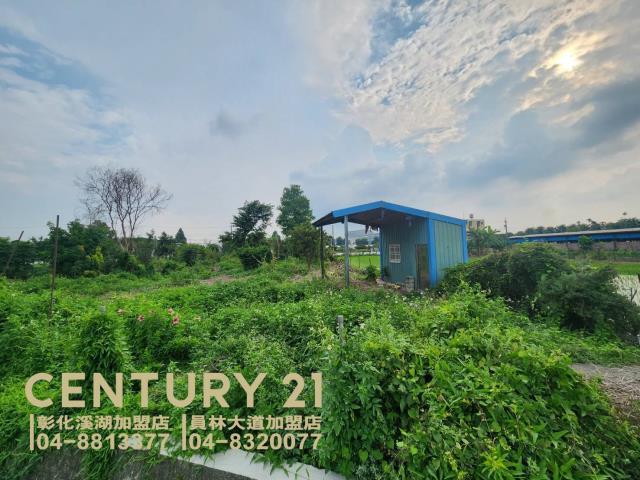 彰化田尾農地-3