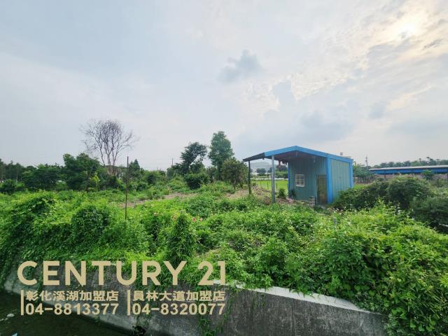 彰化田尾農地-4