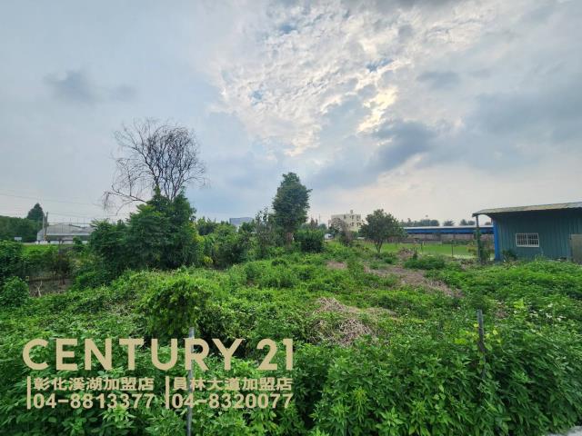 彰化田尾農地-5