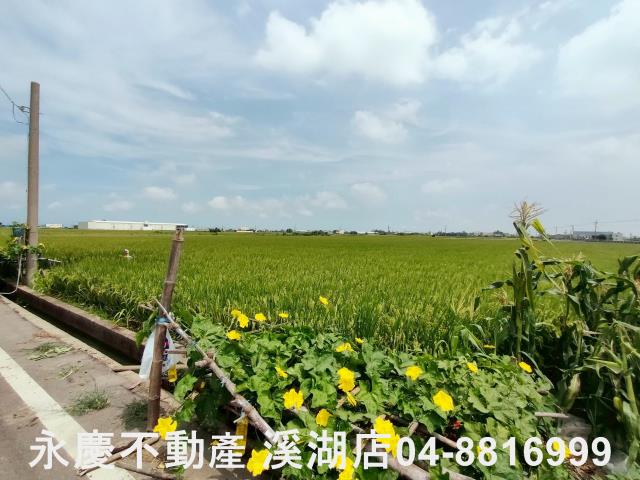 彰化埔鹽農地-0