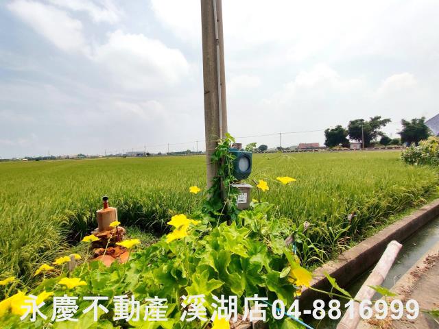 彰化埔鹽農地-4