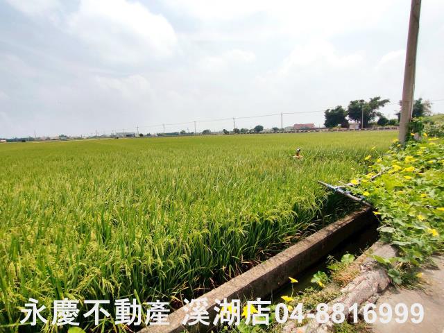 彰化埔鹽農地-6