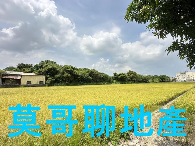 彰化市農地-3