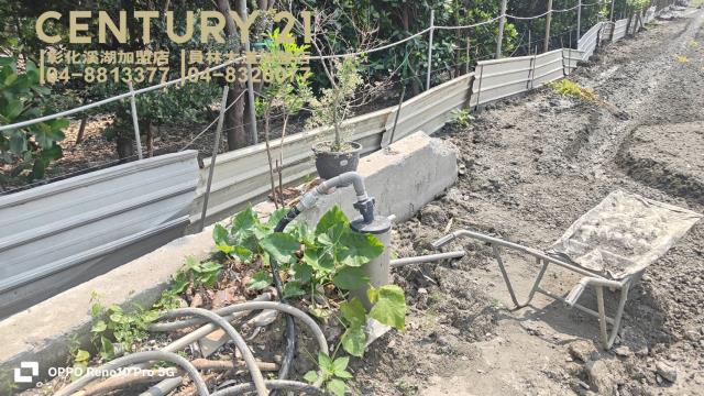 彰化田尾農地-4