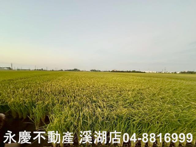 彰化農地-6
