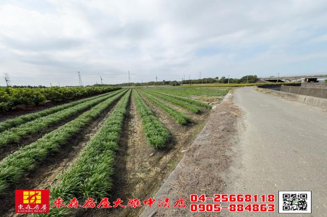 溪州農地-5