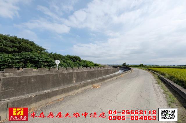 溪州農地-8