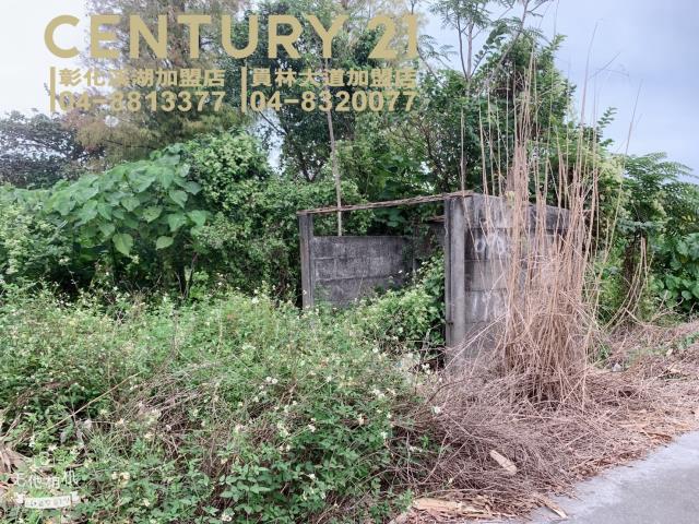 彰化溪湖農地-2