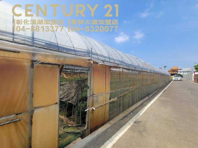 彰化田尾農地-4