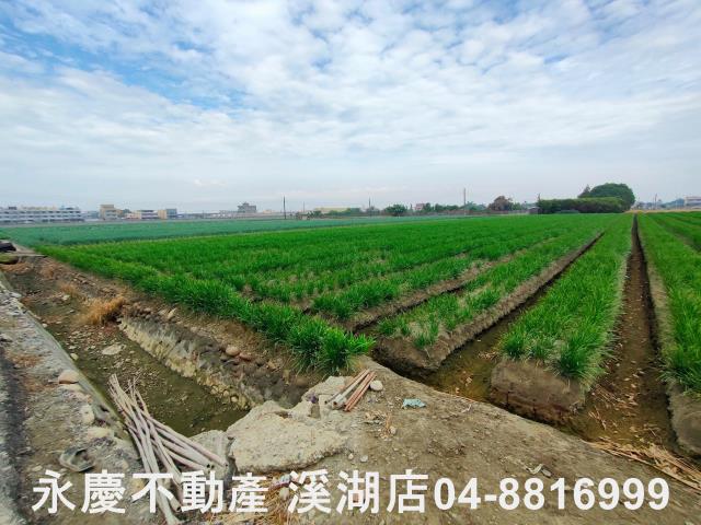 埔鹽農地-3