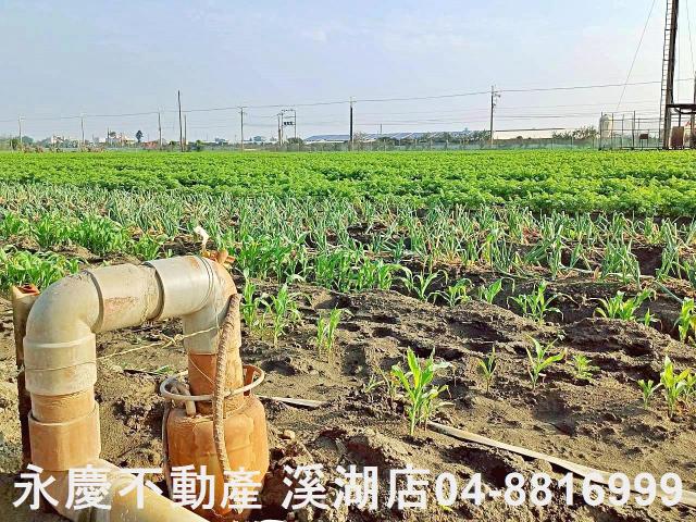 芳苑農地-10