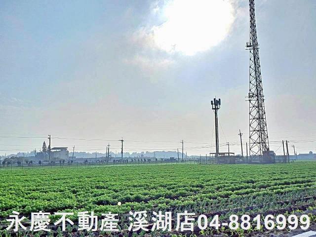芳苑農地-11