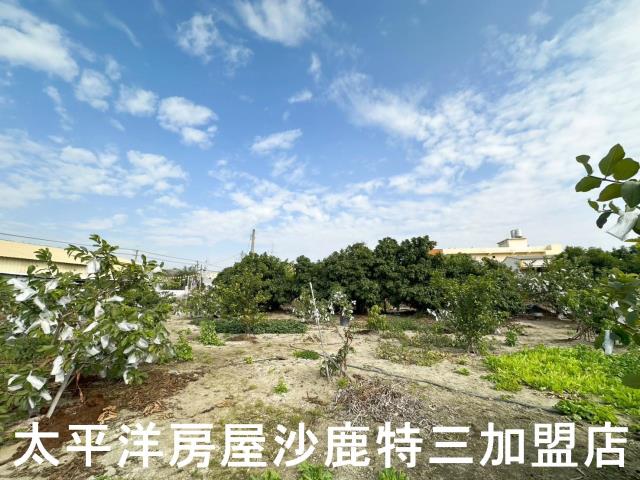 花壇農地-1