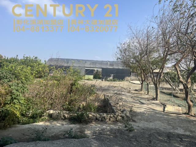 二林農地-5