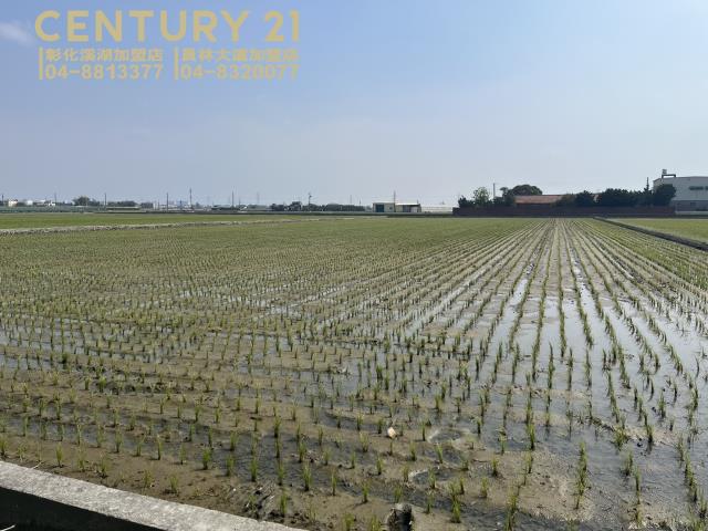 竹塘農地-3