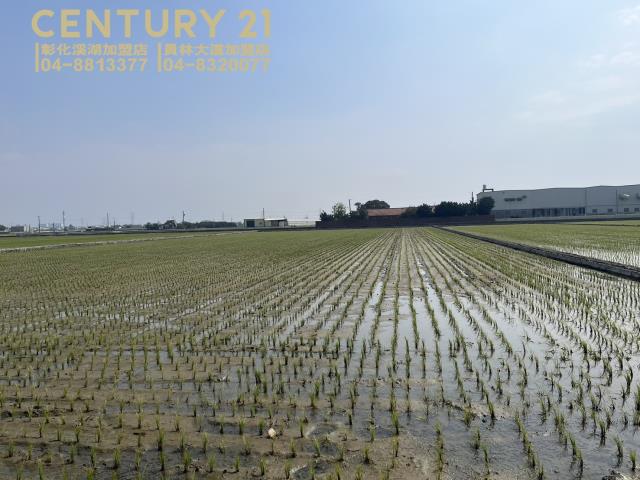 竹塘農地-4