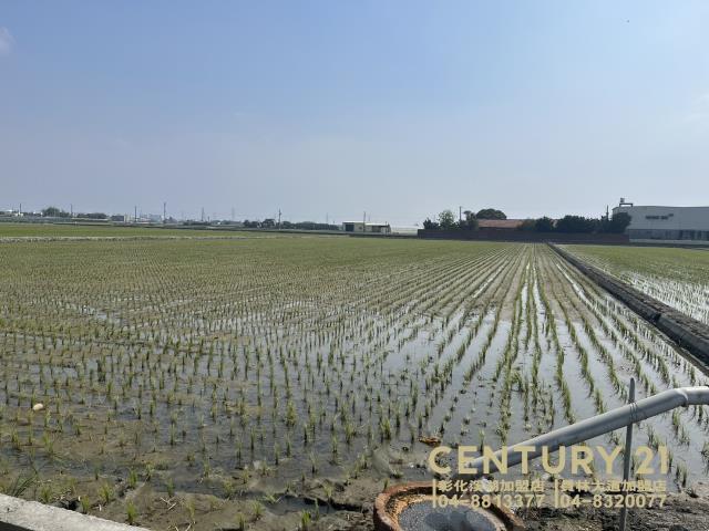 竹塘農地-1