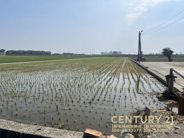 竹塘農地-2