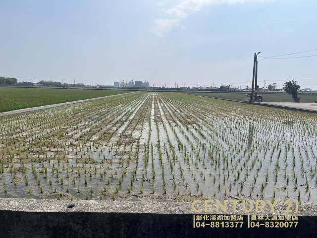 竹塘農地-3