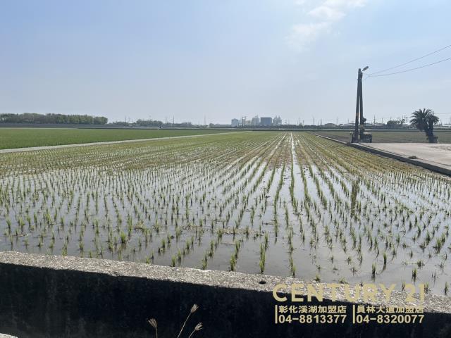 竹塘農地-4