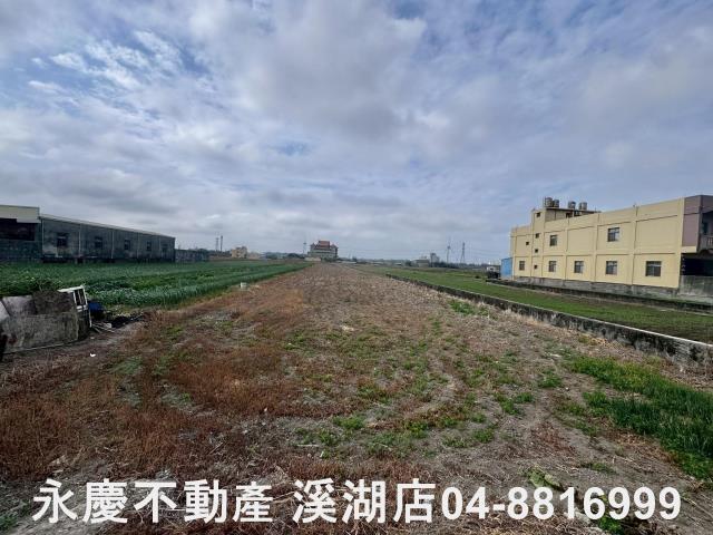 線西農地-7