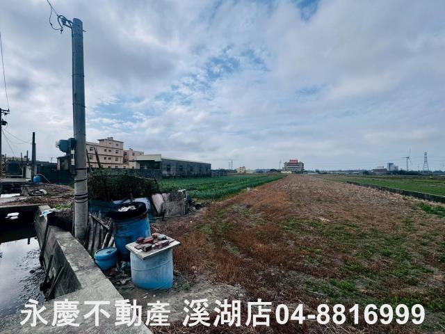 線西農地-1
