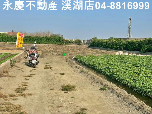 芳苑農地-4