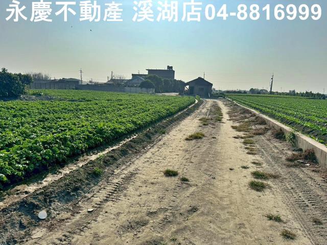 芳苑農地-8