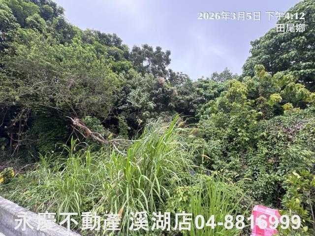 永靖農地-2