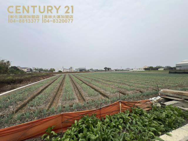 埔鹽農地-1