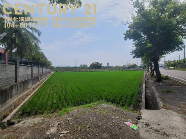 田中農地-1