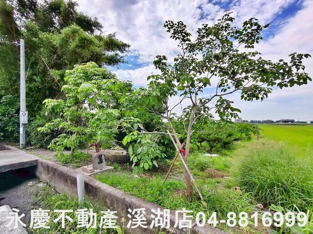 二林農地-14