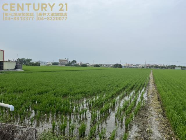 彰化農地-5