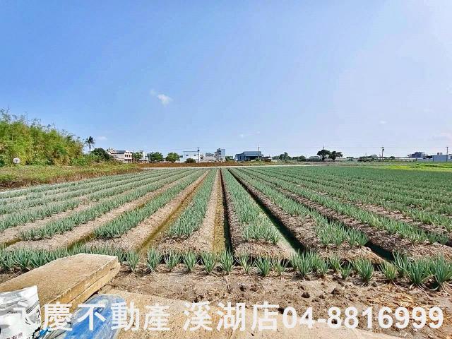 彰化埔鹽農地-6