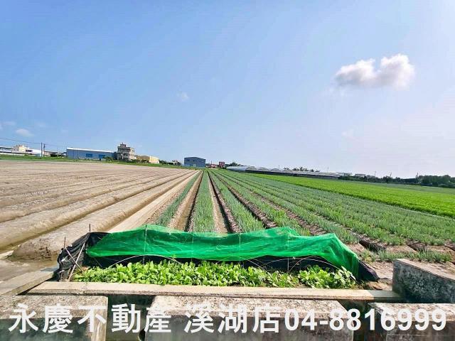 彰化埔鹽農地-9