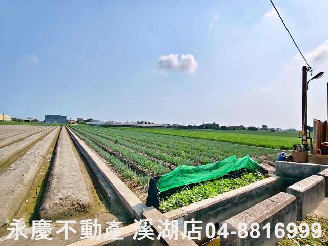 彰化埔鹽農地-12