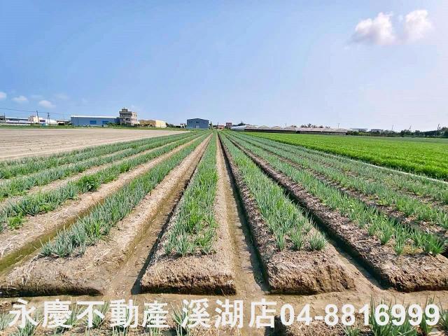 彰化埔鹽農地-3