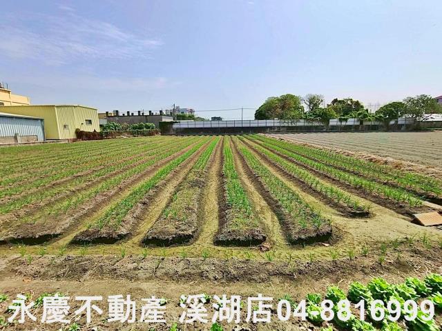 埔鹽農地-2