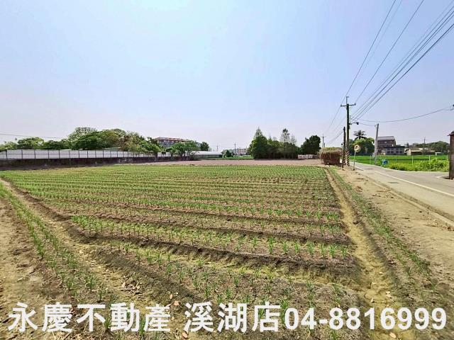 埔鹽農地-3