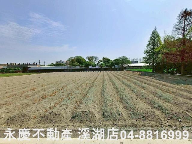 埔鹽農地-6